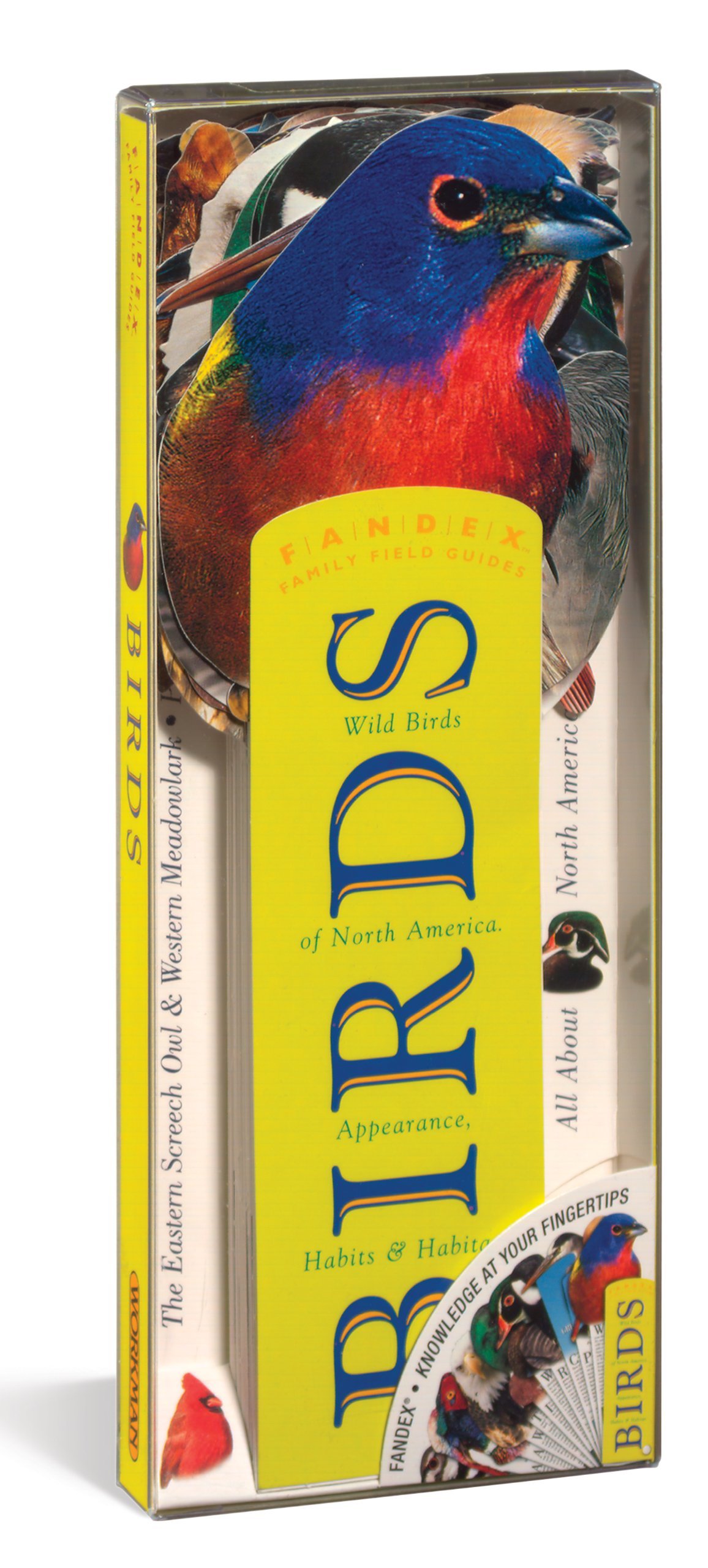 Birds: Wild Birds of North America : Appearance, Habits & Habitat (Fandex : Family Field Guides) [Hardcover] Robbins, Michael W.