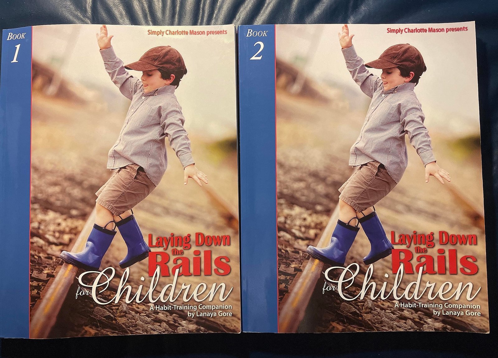 Laying Down the Rails for Children: A Habit-training Companion; Books 1 and 2 [Paperback] Lanaya Gore